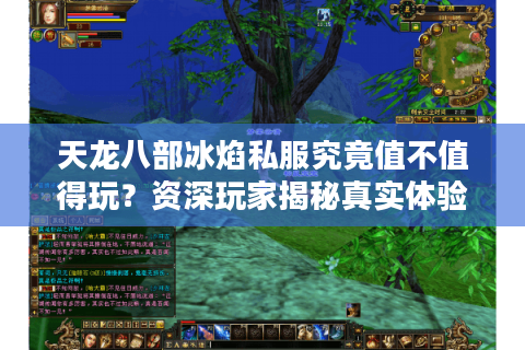 天龙八部冰焰私服究竟值不值得玩？资深玩家揭秘真实体验
