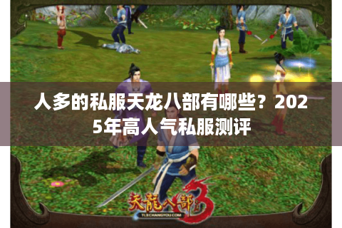 人多的私服天龙八部有哪些？2025年高人气私服测评