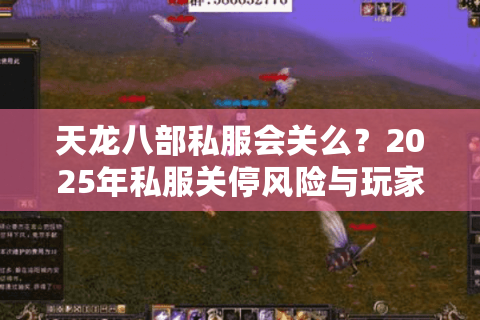 天龙八部私服会关么？2025年私服关停风险与玩家避坑指南