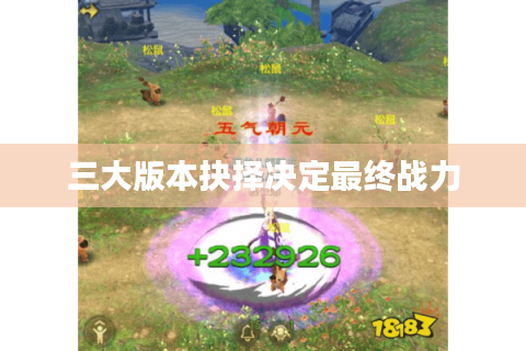 三大版本抉择决定最终战力