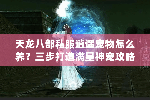 天龙八部私服逍遥宠物怎么养？三步打造满星神宠攻略