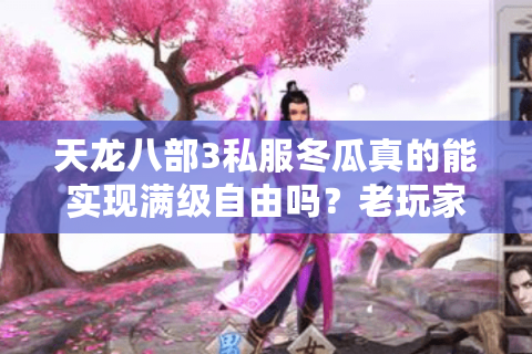 天龙八部3私服冬瓜真的能实现满级自由吗？老玩家实测避坑指南
