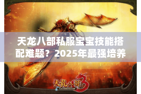 天龙八部私服宝宝技能搭配难题？2025年最强培养方案实测公开