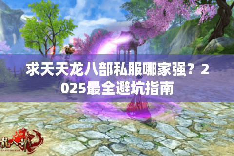 求天天龙八部私服哪家强？2025最全避坑指南
