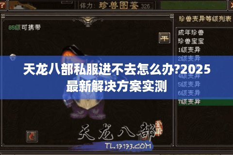 天龙八部私服进不去怎么办?2025最新解决方案实测