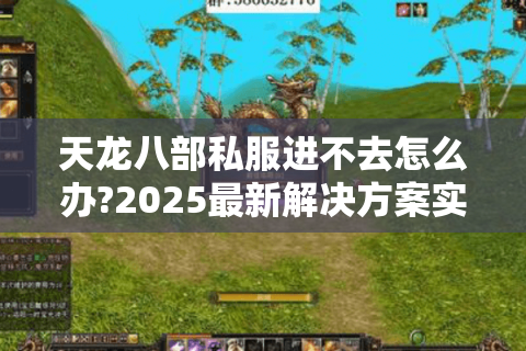 天龙八部私服进不去怎么办?2025最新解决方案实测