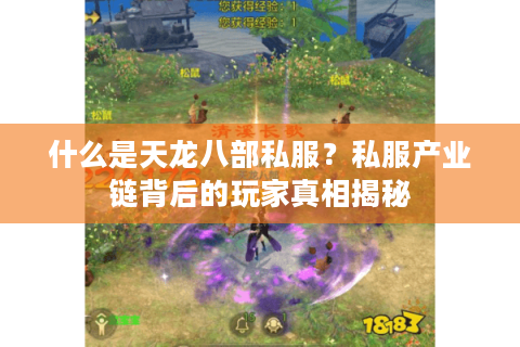 什么是天龙八部私服？私服产业链背后的玩家真相揭秘
