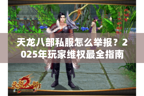 天龙八部私服怎么举报？2025年玩家维权最全指南