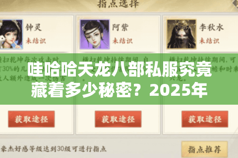 哇哈哈天龙八部私服究竟藏着多少秘密?2025年一键满级仿官微变版本解析 哇哈哈天龙八部私服究竟藏着多少秘密?2025年一键满级仿官微变版本解析