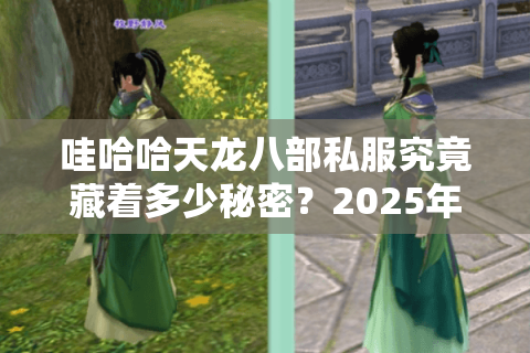 哇哈哈天龙八部私服究竟藏着多少秘密？2025年一键满级仿官微变版本解析