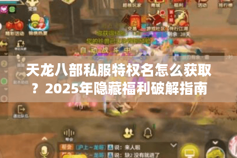 天龙八部私服特权名怎么获取？2025年隐藏福利破解指南