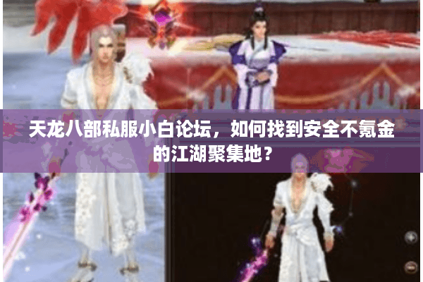 天龙八部私服小白论坛，如何找到安全不氪金的江湖聚集地？