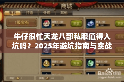 牛仔很忙天龙八部私服值得入坑吗？2025年避坑指南与实战攻略