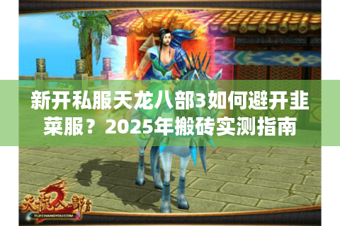 新开私服天龙八部3如何避开韭菜服？2025年搬砖实测指南