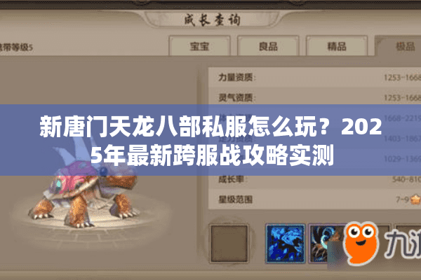 新唐门天龙八部私服怎么玩？2025年最新跨服战攻略实测