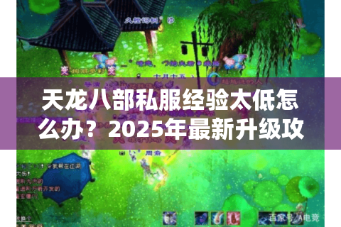 天龙八部私服经验太低怎么办？2025年最新升级攻略分享