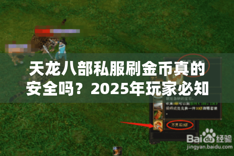 天龙八部私服刷金币真的安全吗？2025年玩家必知的三大生存法则