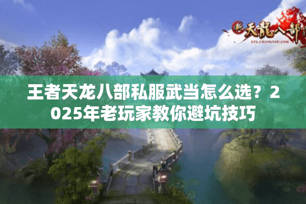王者天龙八部私服武当怎么选?2025年老玩家教你避坑技巧 王者天龙八部私服武当怎么选?2025年老玩家教你避坑技巧
