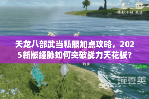 天龙八部武当私服加点攻略,2025新版经脉如何突破战力天花板? 天龙八部武当私服加点攻略,2025新版经脉如何突破战力天花板?