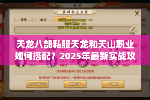 天龙八部私服天龙和天山职业如何搭配？2025年最新实战攻略揭秘