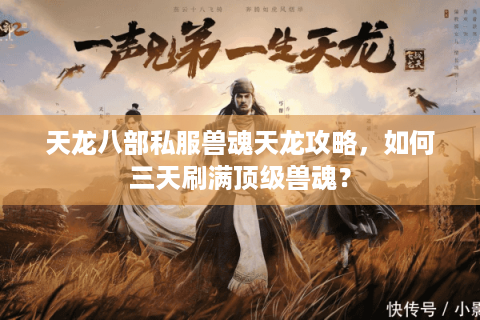 天龙八部私服兽魂天龙攻略，如何三天刷满顶级兽魂？