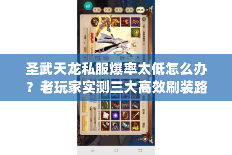 圣武天龙私服爆率太低怎么办？老玩家实测三大高效刷装路线