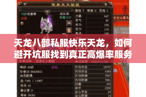 天龙八部私服快乐天龙，如何避开坑服找到真正高爆率服务器？