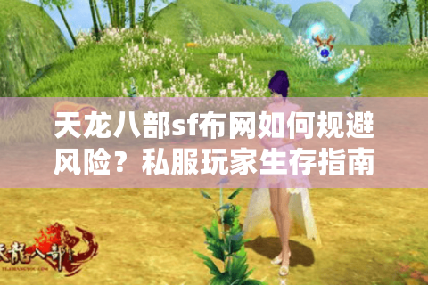 天龙八部sf布网如何规避风险？私服玩家生存指南2025版