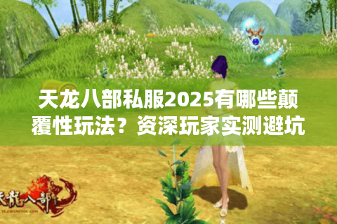 天龙八部私服2025有哪些颠覆性玩法？资深玩家实测避坑指南