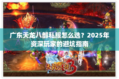广东天龙八部私服怎么选？2025年资深玩家的避坑指南