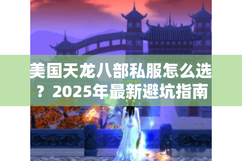 美国天龙八部私服怎么选？2025年最新避坑指南