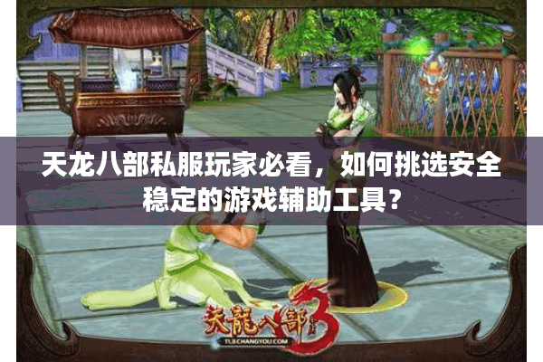 天龙八部私服玩家必看，如何挑选安全稳定的游戏辅助工具？