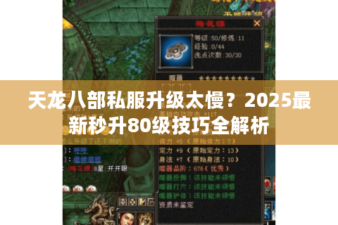 天龙八部私服升级太慢？2025最新秒升80级技巧全解析