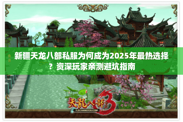 新疆天龙八部私服为何成为2025年最热选择？资深玩家亲测避坑指南