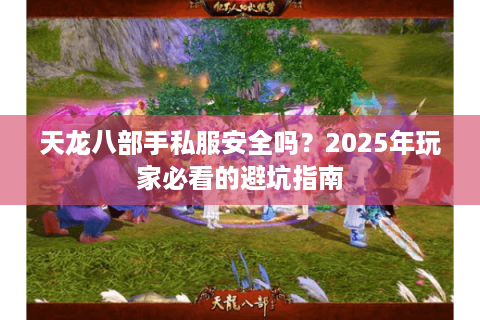 天龙八部手私服安全吗?2025年玩家必看的避坑指南 天龙八部手私服安全吗?2025年玩家必看的避坑指南