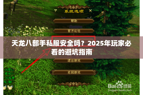 天龙八部手私服安全吗?2025年玩家必看的避坑指南 天龙八部手私服安全吗?2025年玩家必看的避坑指南