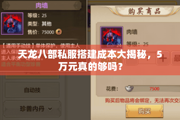 天龙八部私服搭建成本大揭秘，5万元真的够吗？