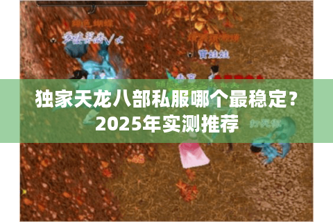 独家天龙八部私服哪个最稳定？2025年实测推荐