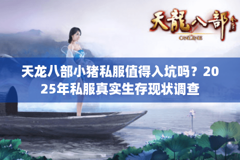 天龙八部小猪私服值得入坑吗？2025年私服真实生存现状调查