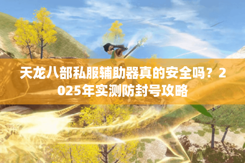 天龙八部私服辅助器真的安全吗？2025年实测防封号攻略