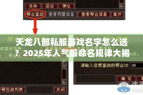天龙八部私服游戏名字怎么选？2025年人气服命名规律大揭秘