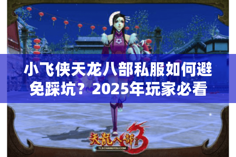 小飞侠天龙八部私服如何避免踩坑？2025年玩家必看避坑指南