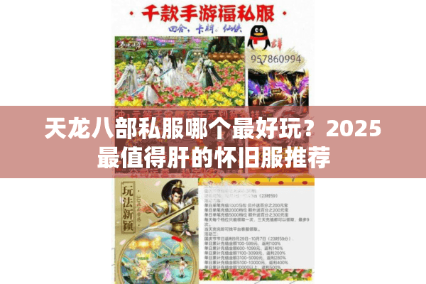 天龙八部私服哪个最好玩？2025最值得肝的怀旧服推荐