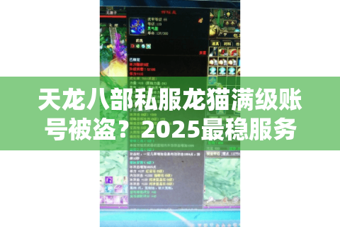 天龙八部私服龙猫满级账号被盗？2025最稳服务器避坑指南