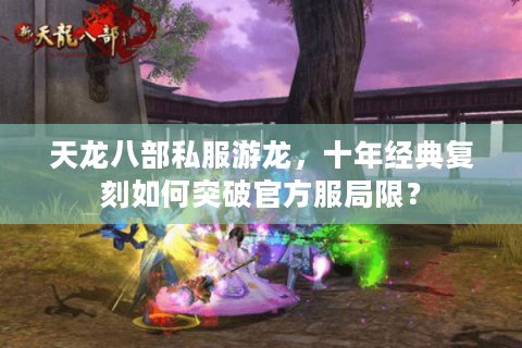 天龙八部私服游龙,十年经典复刻如何突破官方服局限? 天龙八部私服游龙,十年经典复刻如何突破官方服局限?
