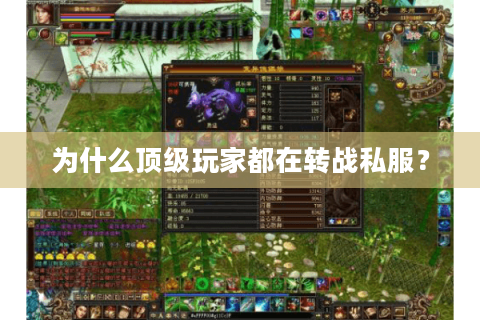为什么顶级玩家都在转战私服？