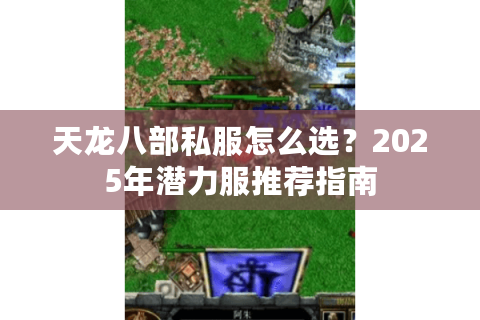 天龙八部私服怎么选？2025年潜力服推荐指南
