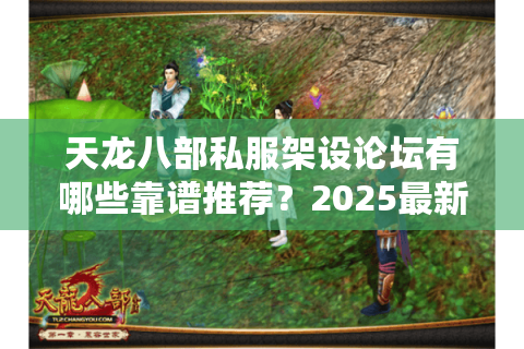天龙八部私服架设论坛有哪些靠谱推荐？2025最新资源整合攻略
