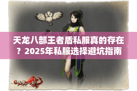 天龙八部王者盾私服真的存在？2025年私服选择避坑指南