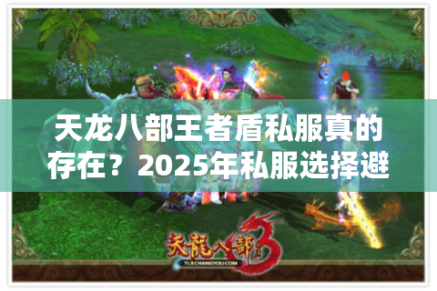 天龙八部王者盾私服真的存在？2025年私服选择避坑指南